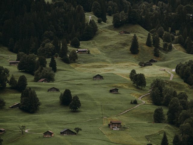 Avis GlampingHub pour réserver une cabane en pleine nature