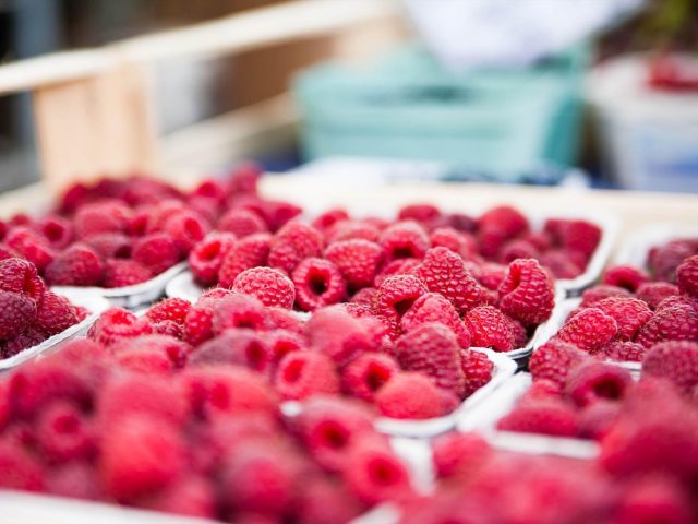 Top marchés ruraux à ne pas manquer en France