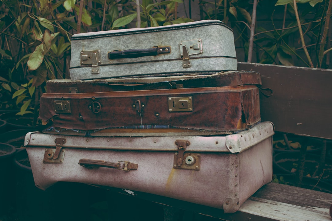 Séjours linguistiques en immersion : entre satisfaction et limites