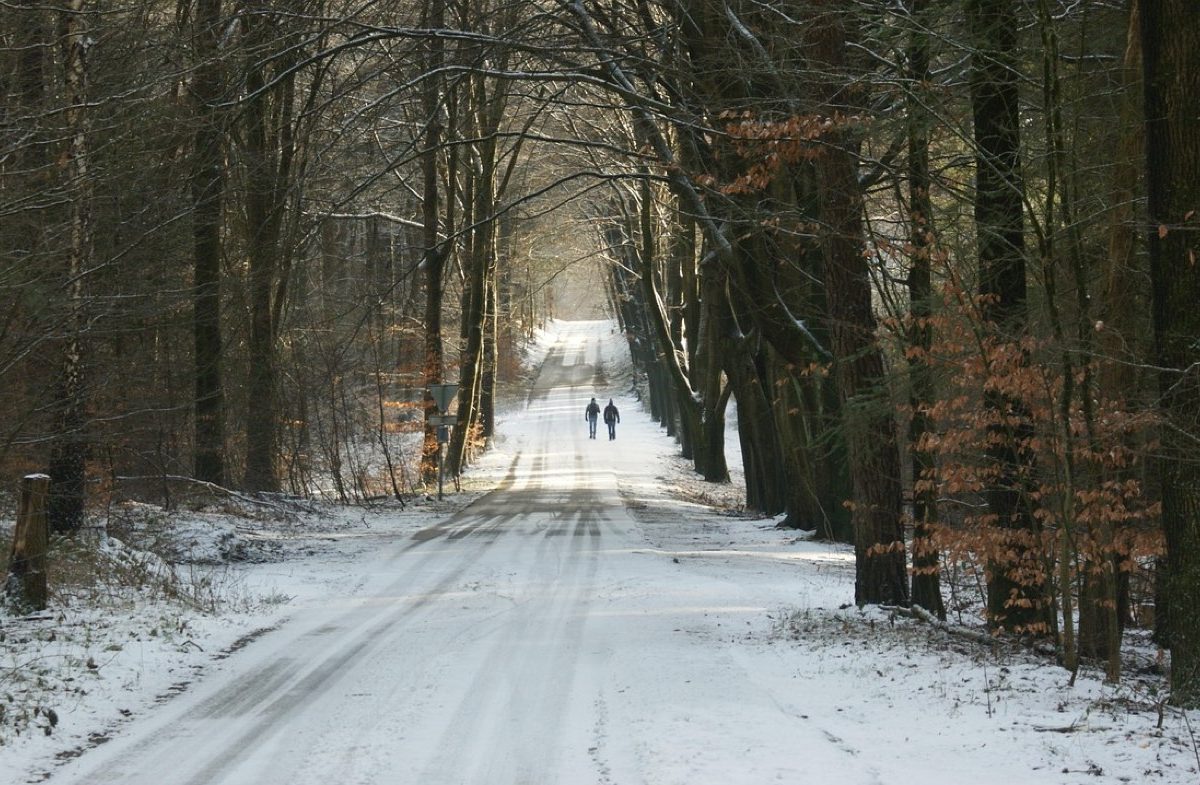 Boucle facile d’une journée au départ d’un village