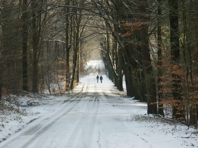 Boucle facile d’une journée au départ d’un village